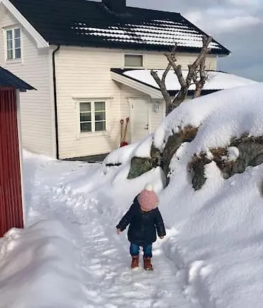 度假居 Norspan - Lofoten With Seaview